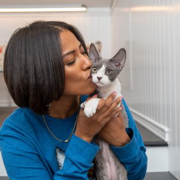 Woman giving kiss to grey and white cat