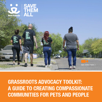 Cover of English version of Grassroots Advocacy Toolkit
