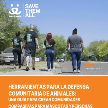 Cover of Spanish version of Advocacy Toolkit