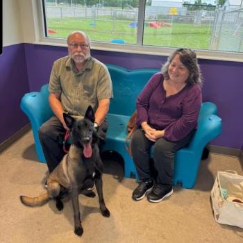 Two people sitting an animal shelter with the dog they just adopted