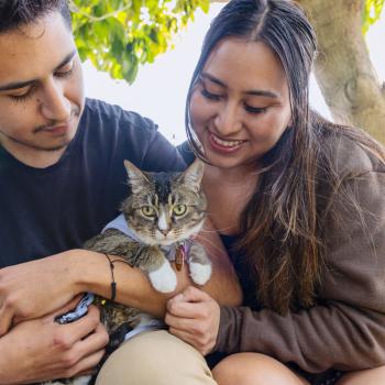 A couple cuddling with a cat outside