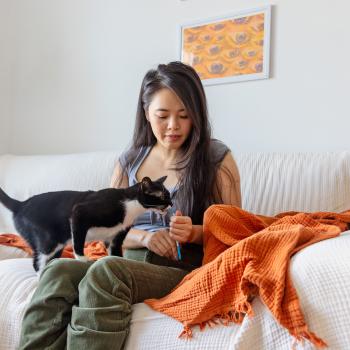 Person giving a cat a treat while sitting on a couch