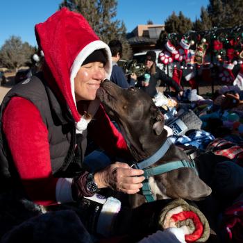 Person hugging a dog in front of a sleigh full of dog toys