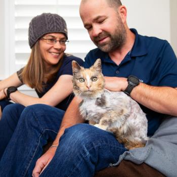 Two people sitting with a cat in a comfortable living room