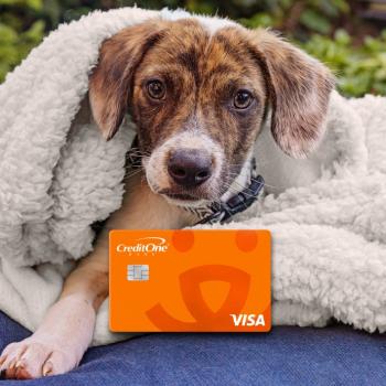 Brindle and white puppy in a blanket with a Best Friends credit card in front of her