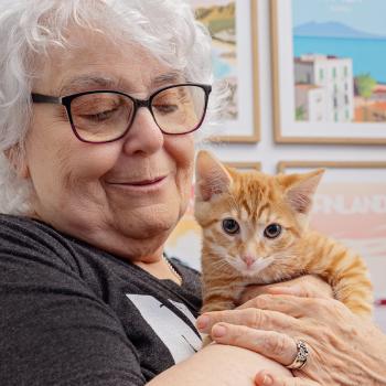Person holding an orange tabby kitten