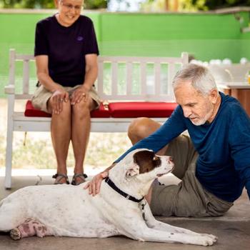 Volunteer sitting on the floor of an animal shelter next to a dog that they are petting
