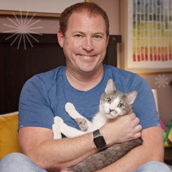 Person holding a gray and white cat in his arms with some graphic snowflakes