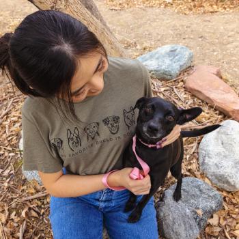 Person sitting outside with a happy dog