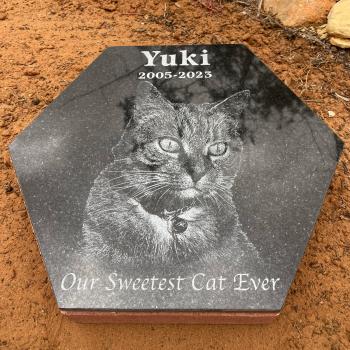 Cat memorial stone granite tile