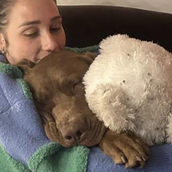 Person hugging a dog while sitting on a couch