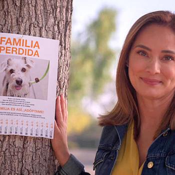 Person standing next to a tree with a sign that has a photo of the dog and 'familia perdida'