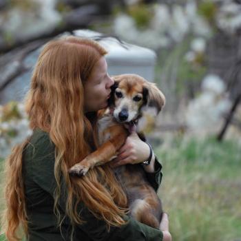 Person holding and kissing a small dog
