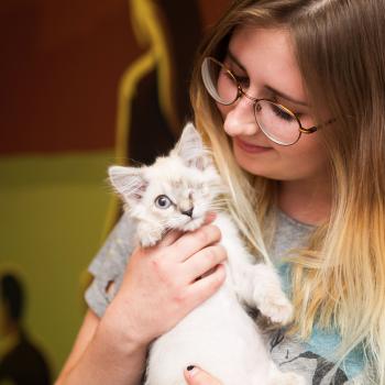 Person wearing glasses holding a small mostly white kitten