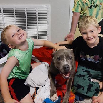 Members of the Brooks family with Lilly, a foster dog