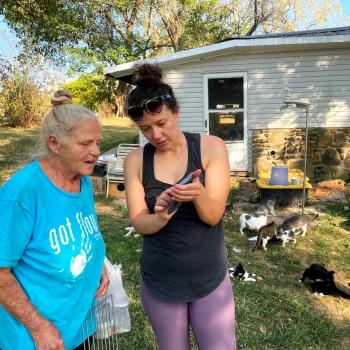 Two people talking and looking at a phone with a home and community cats behind them