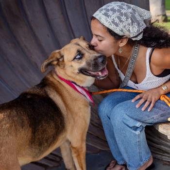 Person hugging a dog