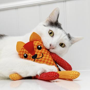 Cat chewing an orange Best Friends plush toy