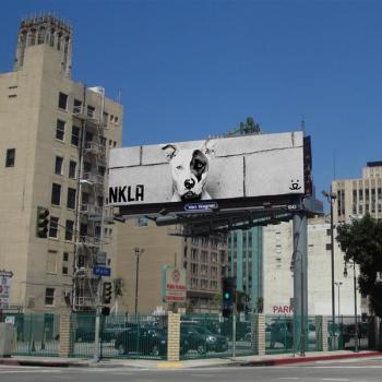 NKLA black and white billboard featuring Jewell the dog