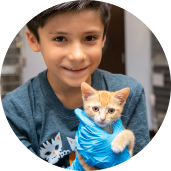 Orange tabby kitten being held by a child wearing a Best Friends Purritos T-shirt