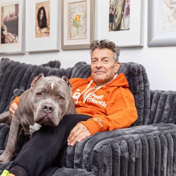 Person wearing Best Friends orange hoodie sitting with a large pit bull type dog with cropped ears on a couch