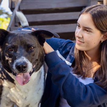 Person sitting outside with a dog on steps - dog memorials
