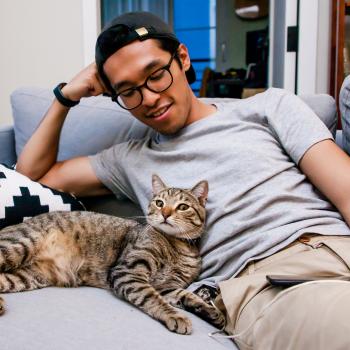 Person relaxing on a couch with a cat