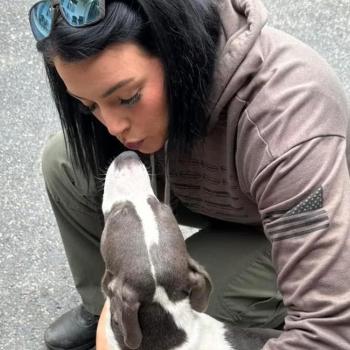 Person kneeling down to hug a dog