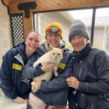 Ricardo Blanco the cat being held by staff at the mobile veterinary clinic following Hurricane Helene