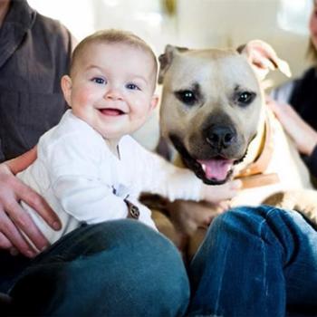 Handsome Dan lying next to smiling baby