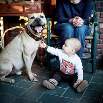 Baby seated on floor reaching up to pet dog