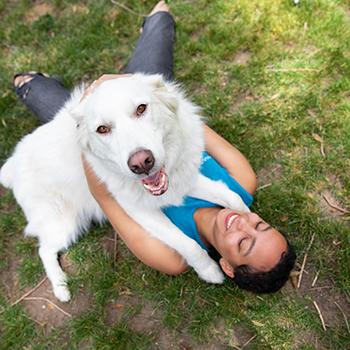 Smiling person lying in the grass hugging a happy large white dog