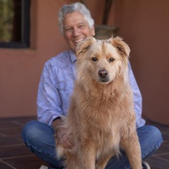 Older man sitting behind a scruffy yellow dog