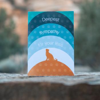 Cat loss sympathy card
