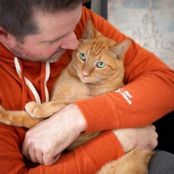 Man in orange hoodie holding orange tabby cat