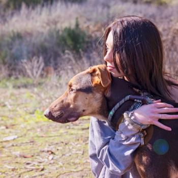 Person hugging a dog outside