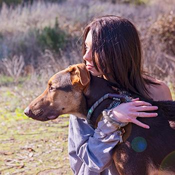 Person hugging a shepherd-type dog outside in a field