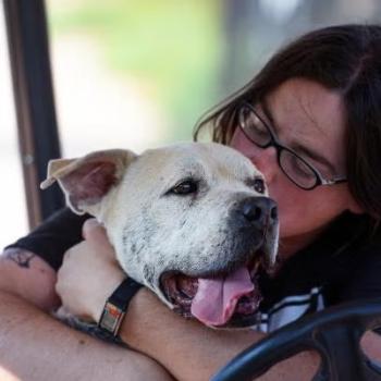 Person hugging a dog