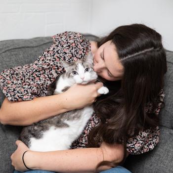 Person sitting on a couch holding a cat and kissing the side of the cat's face