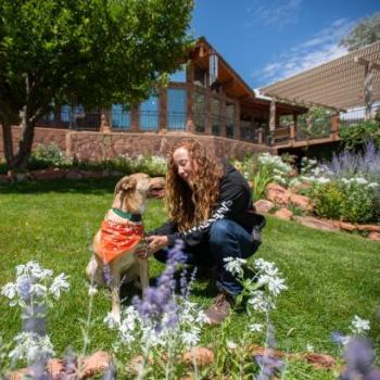 Person and dog in grass sitting in front of the welcome center at Best Friends Animal Sanctuary