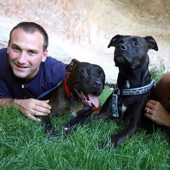 Two black pit bull type dogs lying in grass with couple