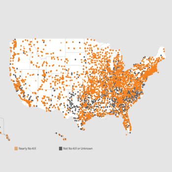 Pet Lifesaving Dashboard map