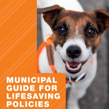 cover of Municipal Guide for Lifesaving Policies