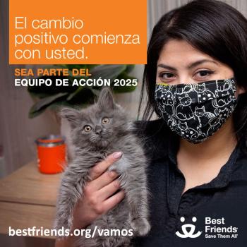 Join the 2025 Action Team Spanish social media graphic with cat