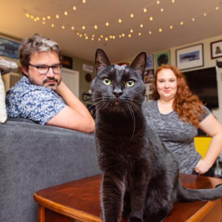 Two smiling people in a cozy living room with a cat