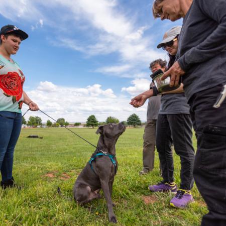 Group of people outside with a dog on a leash teaching him to sit