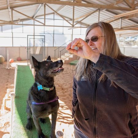 Woman holding treat for black dog in training