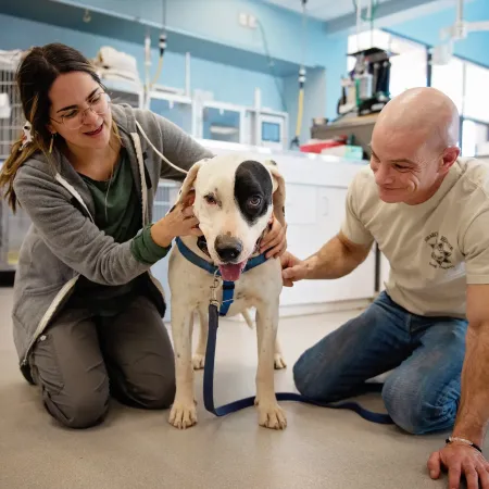 Two smiling people sitting on the floor with a dog in a veterinary clinic