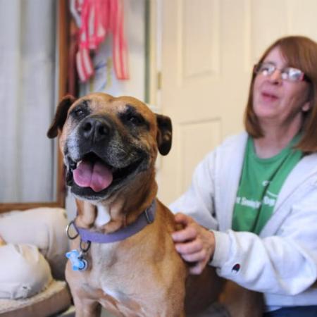 Layla the dog smiling in home environment with people