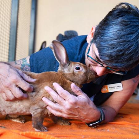 Person snuggling with a bunny on the ground
